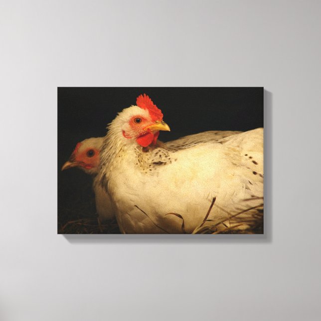 Hen and Rooster in Schwarz und Weiß Leinwanddruck (Vorderseite)