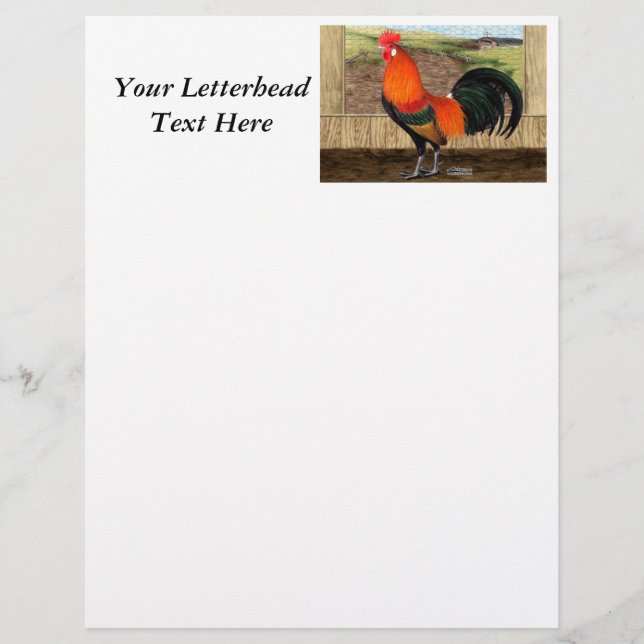 Hen House Hero (Vorderseite)