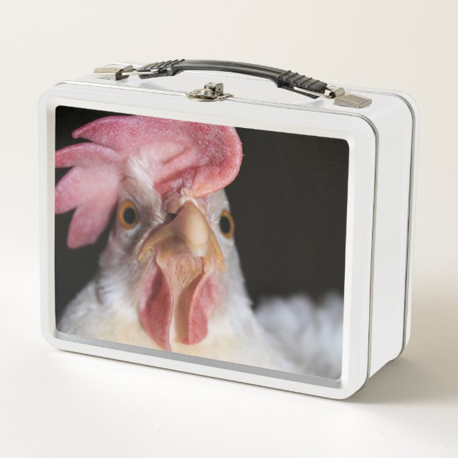 Hen Metall Brotdose (Vorderseite)