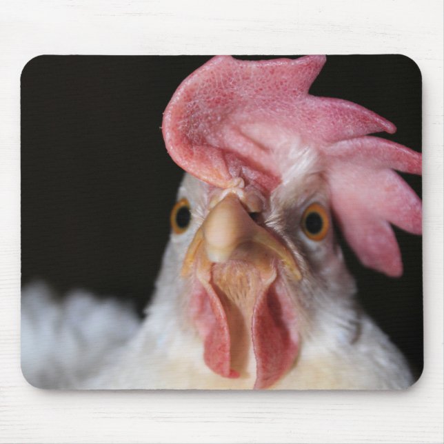 Hen Mousepad (Vorne)