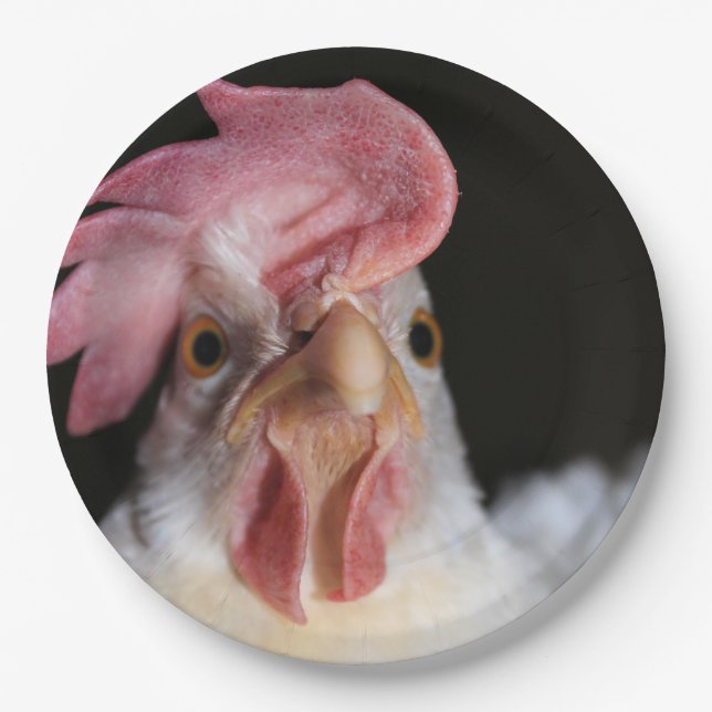 Hen Pappteller (Vorderseite)