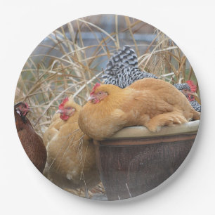 Hen-Party-Papierplatte Pappteller