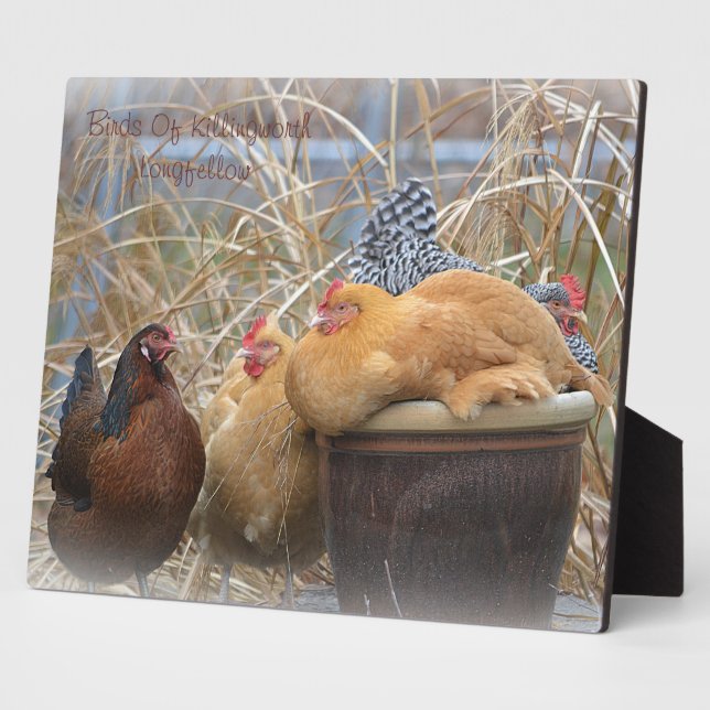 Hen Plaque Fotoplatte (Seite)