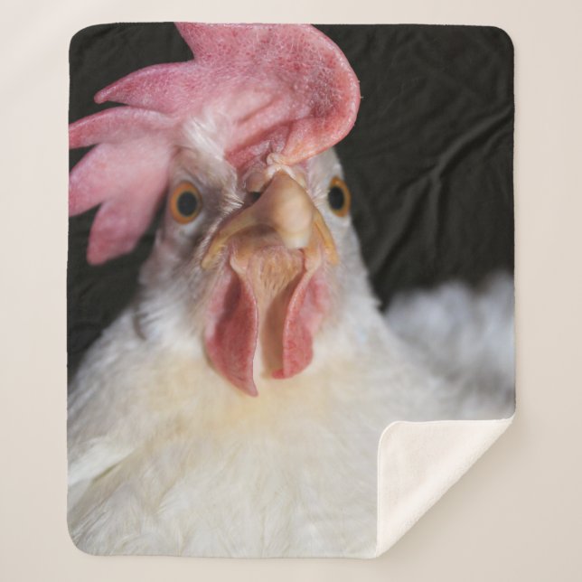 Hen Sherpadecke (Vorderseite)