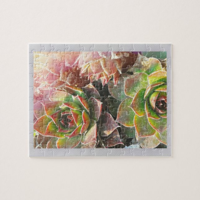 Hen- und Kick-Pflanze (Horizontal)