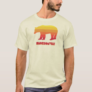 Hendersonville North Carolina Rainbow Bear T-Shirt
