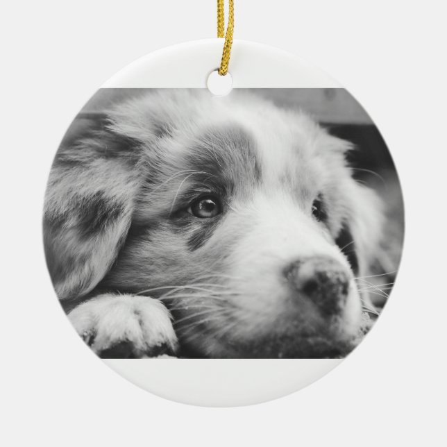 Hengst Keramik Ornament (Vorne)