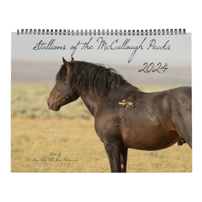 Hengste der McCullough-Gipfel Kalender (Titelbild)