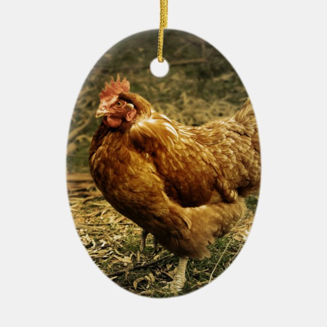 Henne-Huhn-Vogel-Bauernhof-Hof-Tier-Geflügel Keramikornament (Vorne)