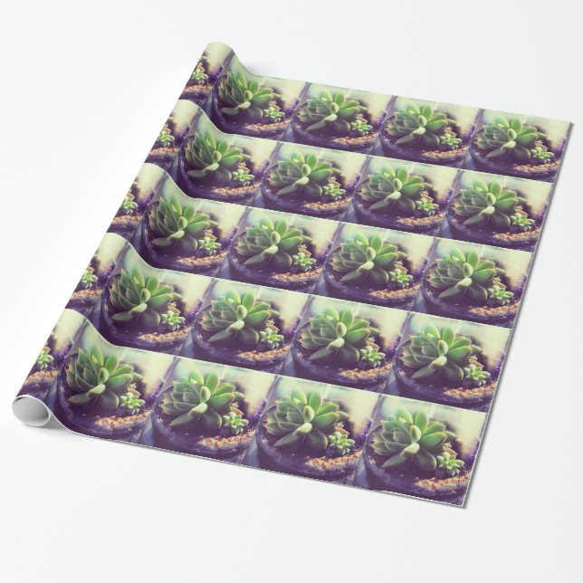 Henne und Küken-Pflanze Geschenkpapier (Ungerollt)