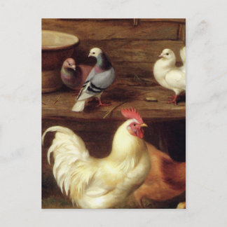 Hennen und Hähnchen mit Tauben von Nutztieren Postkarte