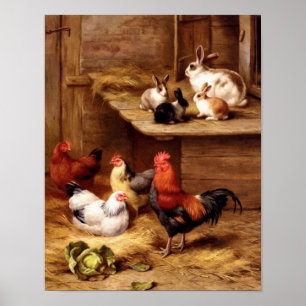Hennen von Hasen mit Kaninchen und Hennen für Nutz Poster