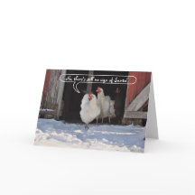 Hennen warteten Sankt-Weihnachten