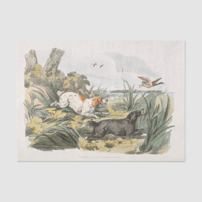 Henry Alken | Hounds on the Hunt Seidenpapier (Vorderseite)