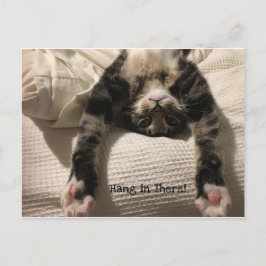 Henry Cat Get Well bald ermutigen oder Beileid Postkarte