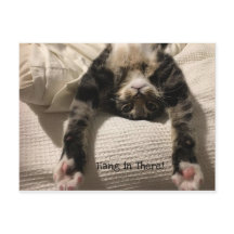 Henry Cat Get Well bald ermutigen oder Beileid