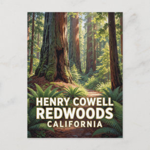 Henry Cowell Redwoods State Park — Kalifornien Postkarte
