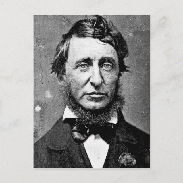 Henry David Thoreau Postkarte (Vorderseite)