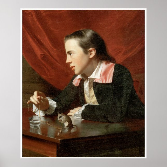 Henry Pelham (Junge mit Eichhörnchen), 1765 Poster (Vorne)