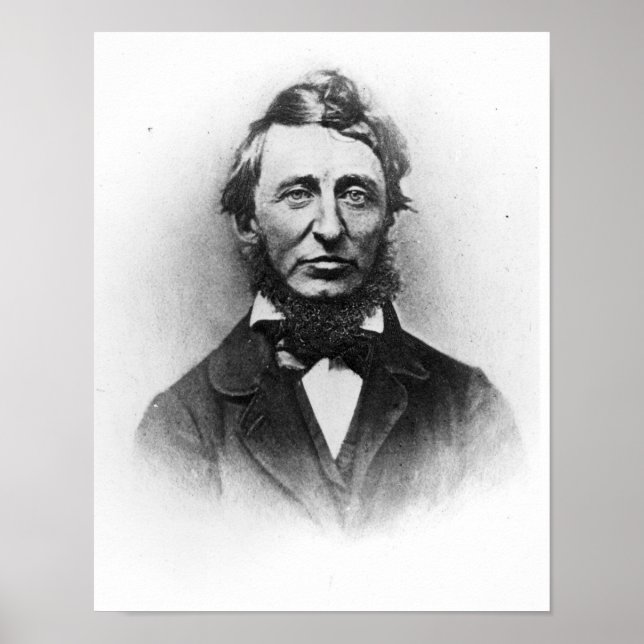 Henry Thoreau Poster (Vorne)