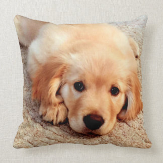 Henrys Weltheute golden retriever-Kissen Kissen