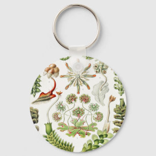 Hepaticae Lebermoose von Ernst Haeckel Schlüsselanhänger