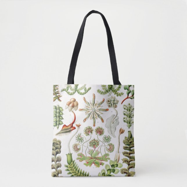 Hepaticae Lebermoose von Ernst Haeckel Tasche (Vorderseite)
