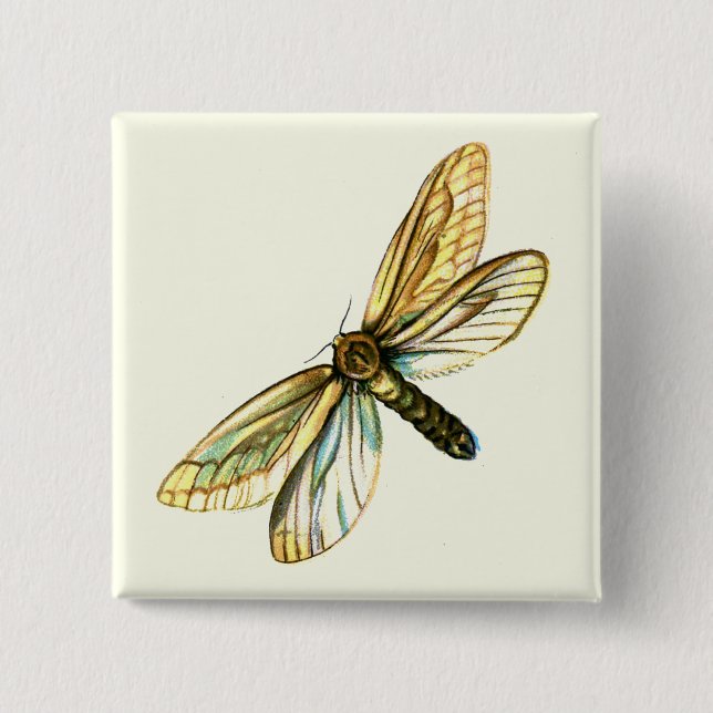 Hepialus humuli women - Ghost Moth oder Ghost Swif Button (Vorderseite)