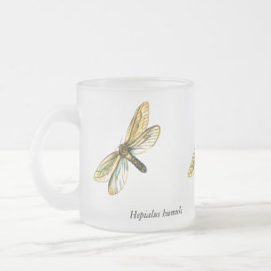 Hepialus humuli women - Ghost Moth oder Ghost Swif Mattglastasse