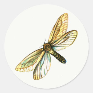 Hepialus humuli women - Ghost Moth oder Ghost Swif Runder Aufkleber