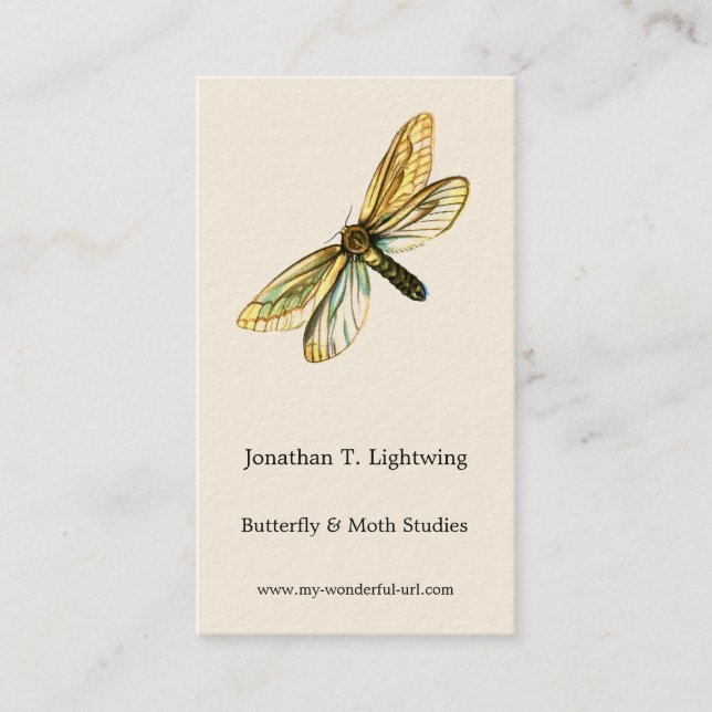 Hepialus humuli women - Ghost Moth oder Ghost Swif Visitenkarte (Vorderseite)