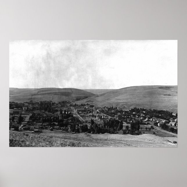 Heppner, Oregon Birds Augenblickaufnahme Poster (Vorne)