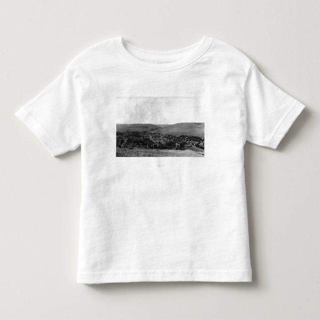 Heppner, Oregon-Vogel-Augen-Ansicht-Fotografie Kleinkind T-shirt (Vorderseite)