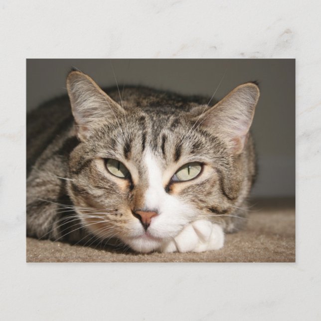 Her name is Asia Postkarte (Vorderseite)