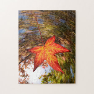 Herabfallendes Blatt von einem Baum im Herbst
