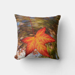 Herabfallendes Blatt von einem Baum im Herbst Kissen