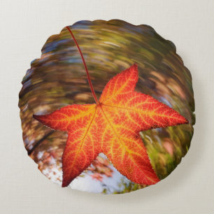 Herabfallendes Blatt von einem Baum im Herbst Rundes Kissen