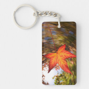 Herabfallendes Blatt von einem Baum im Herbst Schlüsselanhänger
