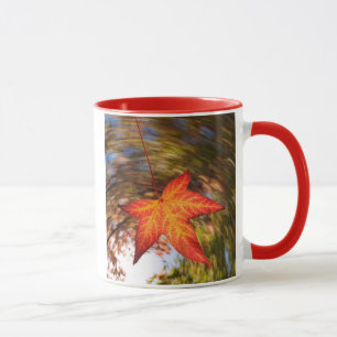 Herabfallendes Blatt von einem Baum im Herbst Tasse