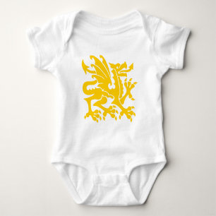 Heraldic Dragon 01 - Amber Baby Strampler