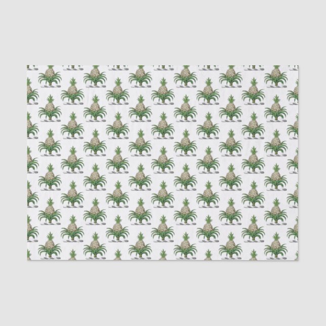 Heraldischer Ananas-Vorbote aus Wappen Seidenpapier (Vorderseite)