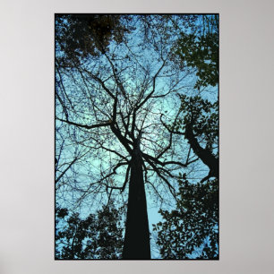 Herauf den Baum Poster