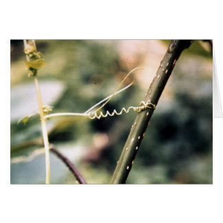 Heraus erreichen….