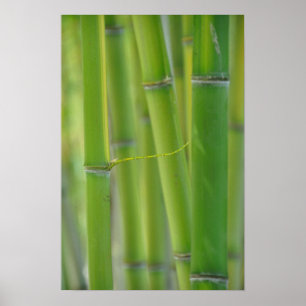 Heraus erreichen poster