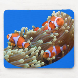 Heraus hängen mit Clown-Fischen Mousepad