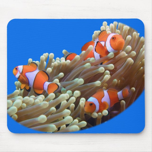 Heraus hängen mit Clown-Fischen Mousepad (Vorne)