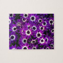 Herausforderung Helle Lila Blume Foto floral