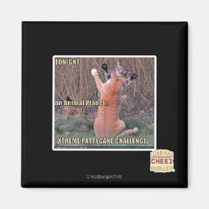 Herausforderung Xtremes PattyCake Magnet