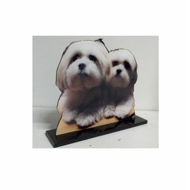 Herausgeschnittene die AcrylFoto-Skulptur stehen Freistehende Fotoskulptur (Vorne)