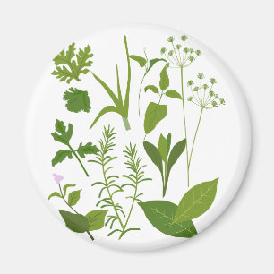 Herb Collection Magnet